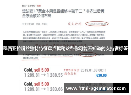 穆西亚拉粉丝独特特征盘点揭秘这些你可能不知道的支持者标签